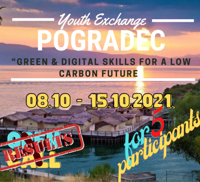 Results for 5 participants for “Green & Digital Skills for a low carbon future” YE in Pogradec, Albania