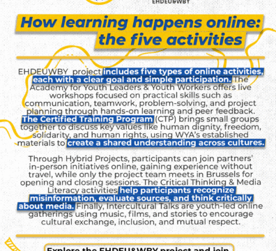 How learning happens online: The five activities